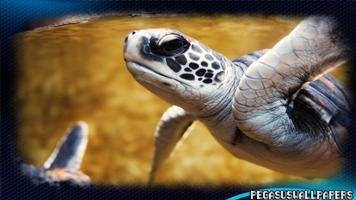 Turtle Pack 2 Wallpaper स्क्रीनशॉट 3
