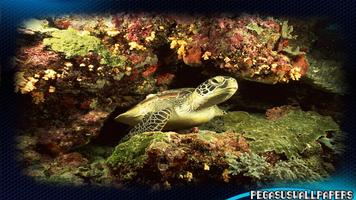 Turtle Pack 2 Wallpaper पोस्टर