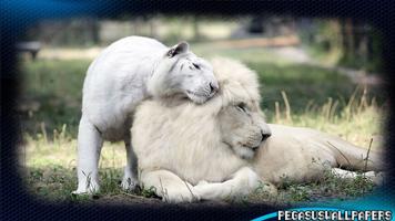 White Lion Pack 2 Wallpaper Affiche