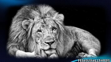 White Lion Pack 2 Wallpaper تصوير الشاشة 1