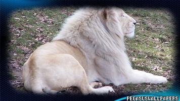 White Lion Pack 2 Wallpaper 스크린샷 3