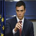 Pedro Sanchez presidente icon