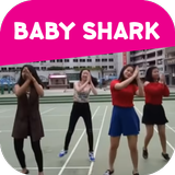 Song Dance Baby Shark Cover-icoon