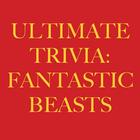 Trivia for Harry Potter Beasts icône