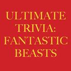 Trivia for Harry Potter Beasts biểu tượng