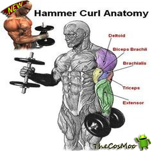 Best Tutorials Fitness Like a Pro