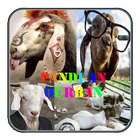 Panduan Qurban آئیکن