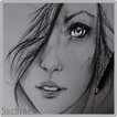 Pencil Sketch Drawing