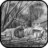 Pencil Sketch Drawing VIDEOs