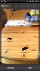 Baixar Voar Papel de Parede Vivo APK