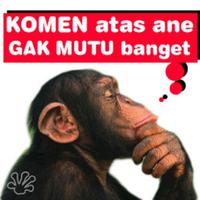 2 Schermata Perang Komentar Gambar Lucu