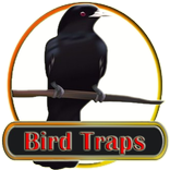 Bird Traps