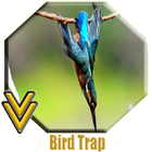 Bird Trap ikon