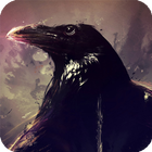 Crow Live Wallpaper أيقونة