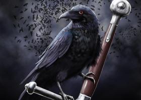 پوستر Crow Live Wallpaper