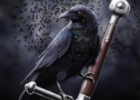Crow Live Wallpaper Affiche