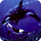 Orca Live Wallpaper ícone