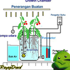 Njira yolima ulimi wa hydroponic 圖標