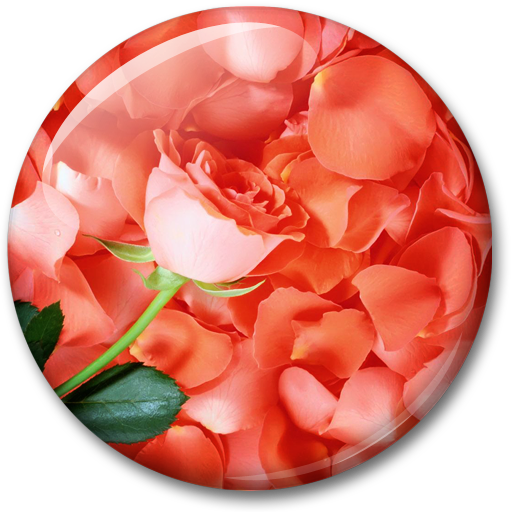 Petals Live Wallpaper