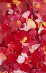 download Petals Live Wallpaper APK