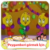 Peygamberi görmek İçiin -Klip APK