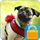 Little Pug PIN Lock APK