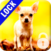 Chihuahua Dog PIN Lock Screen 图标