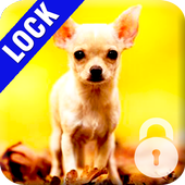 Chihuahua Dog PIN Lock Screen icono