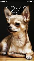 Chihuahua Dog PIN Lock Screen Affiche