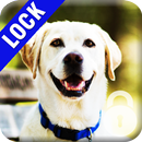 Labrador Dog PIN Lock APK