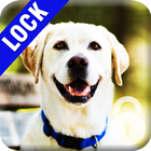 Labrador Dog PIN Lock biểu tượng