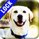 Labrador Dog PIN Lock