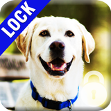 Labrador Dog PIN Lock आइकन