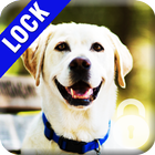 Labrador Dog PIN Lock icône