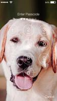 Labrador Dog PIN Lock स्क्रीनशॉट 1