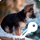 German Shepherd Little Puppy Pattern Smart Lock APK