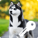 Wonderful Faithful Hasky Domestic Pets Smart Lock APK