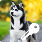 Wonderful Faithful Hasky Domestic Pets Smart Lock icône