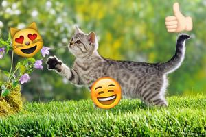 Emoji Photo Sticker Maker Pro الملصق