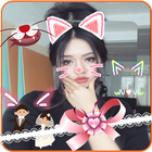 猫脸 圖標