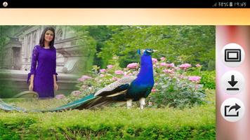 ضع صورتك مع أجمل الطيور العالم imagem de tela 1