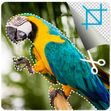 APK Photo Crop Editor