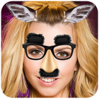 Photofunia Funny Photo Editor Creator Edit Image icône