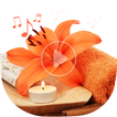 Relaxing Spa Music - Traditional