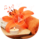 Relaxing Spa Music - Traditional aplikacja