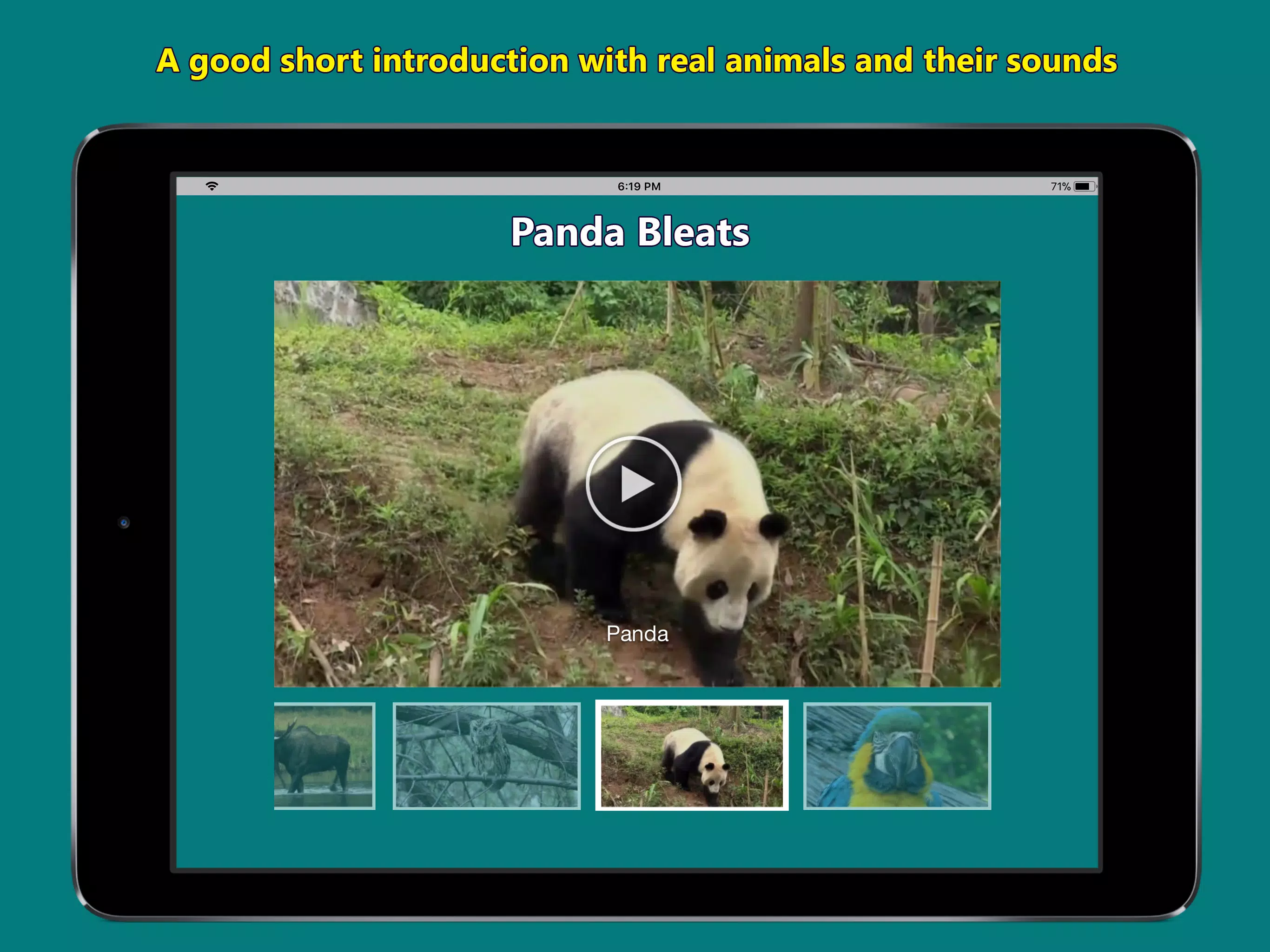 Names of Animal Sounds APK for Android Download Names of Animal Sounds APK for Android Download