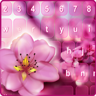 桃红色花时髦的键盘 图标