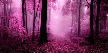 Pink Forest Live Wallpaper