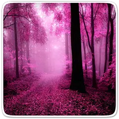 Pink Forest Live Wallpaper
