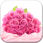 Różowa Róża Tapety Na Żywo ikona
